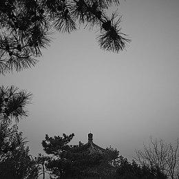 休闲管理冒险游戏《熊与早餐》7月28日推出